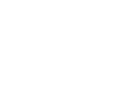 Z Performance